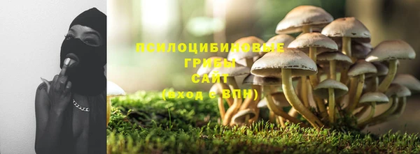 ALPHA PVP Алексеевка