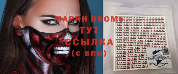 стаф Алексин